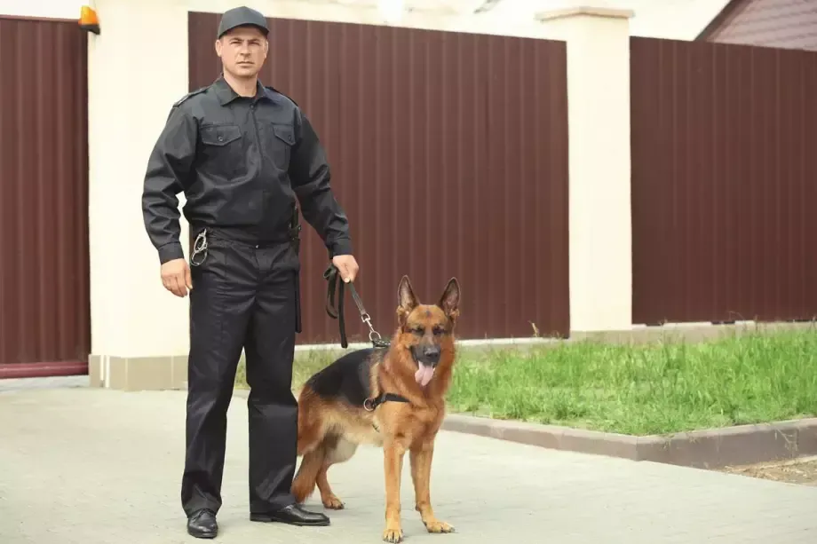 securite-mendes-8